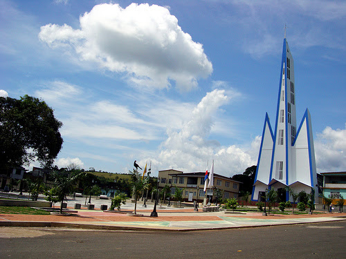 EL PAUJIL