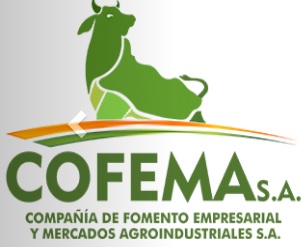 COFEMA S.A