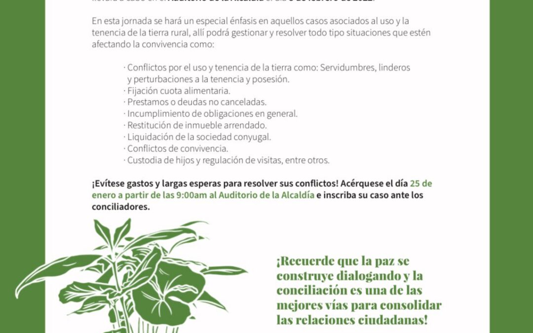 Cámara de Comercio de Florencia para el Caquetá en conjunto con el PNUD y el Ministerio de Justicia realizarán jornada gratuita de Conciliación