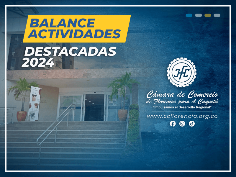 Balance de Actividades 2024